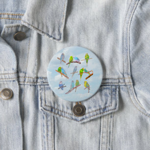 Lots of colourful parakeets - cute little birds    7.5 cm round badge
