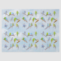 Lots of colourful parakeets - cute little birds