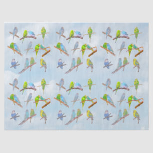 Lots of colourful parakeets - cute little birds tissue paper