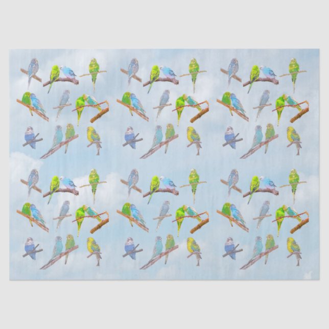 Lots of colourful parakeets - cute little birds tissue paper (Front)