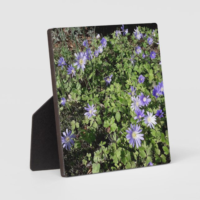 Lots of flowers plaque (Front)