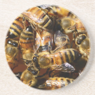 Lots of Honey Bees Coaster
