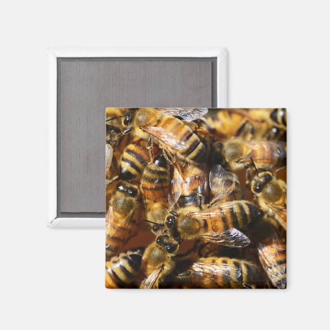 Lots of Honey Bees Magnet (Front/Back)