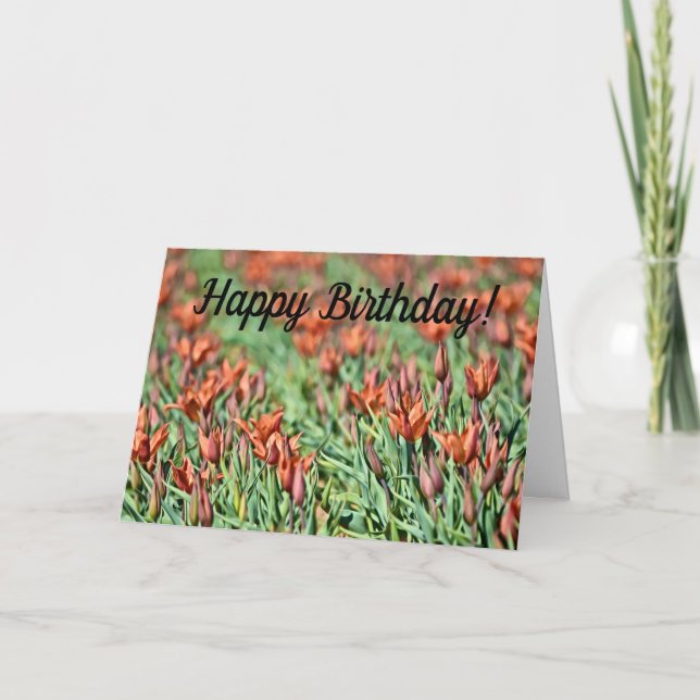 Lots of Orange Tulips Birthday Card (Front)