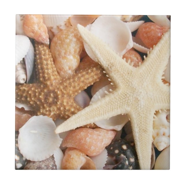 Lots of Seashells Ceramic Tile (Front)