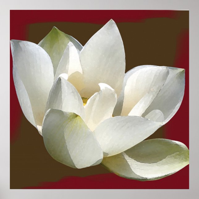 lotus1 poster (Front)