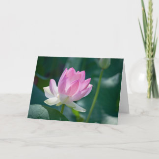 Lotus #2444 card