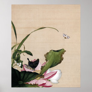 Lotus and Arrowhead Fine Art Poster