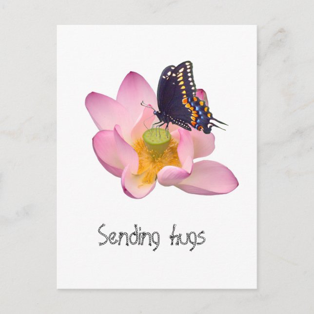 Lotus and butterfly postcard (Front)