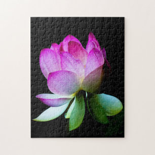 Lotus Bloom Jigsaw Puzzle