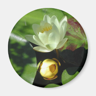 Lotus Blossom Magnet
