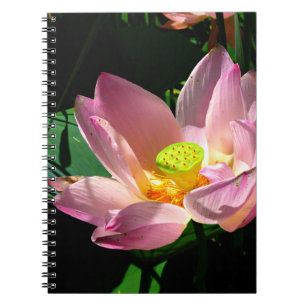 Lotus Blossom Notebook