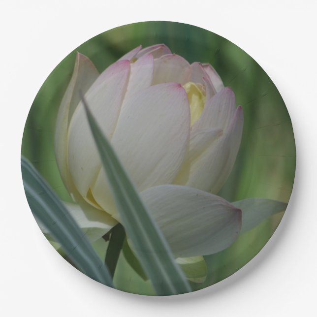 Lotus Blossom Paper Plate (Front)