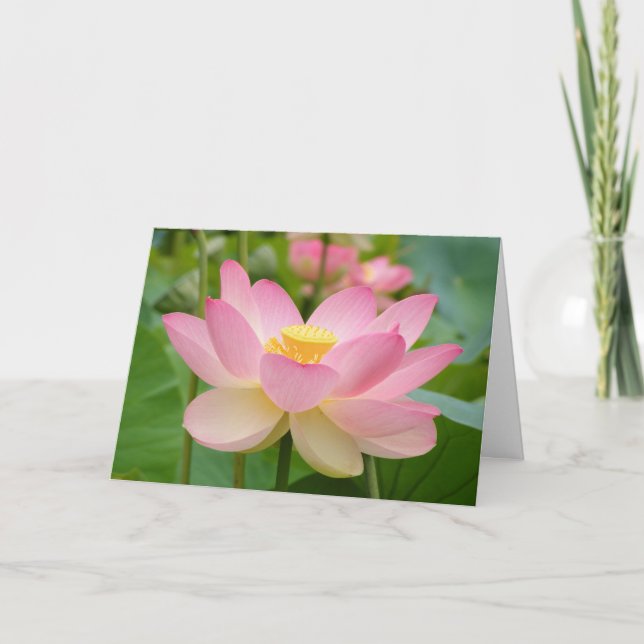 Lotus Blossum Greeting Card (Front)