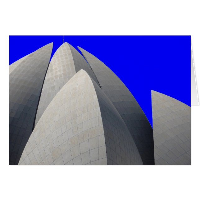 lotus blue (Front Horizontal)