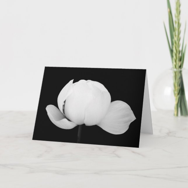 Lotus Bud Card (Front)