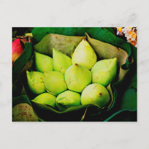 Lotus buds postcard