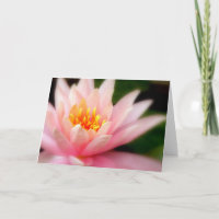 Lotus/Card