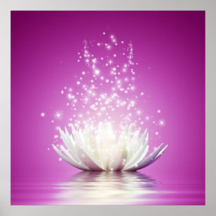 Lotus chakra love healing healer yoga zen energy poster