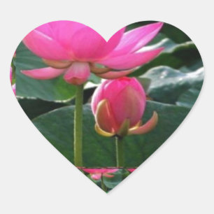 LOTUS : Chakra Rose Pink Green Garden Heart Sticker