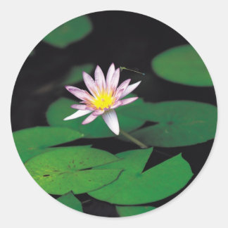 Lotus Classic Round Sticker
