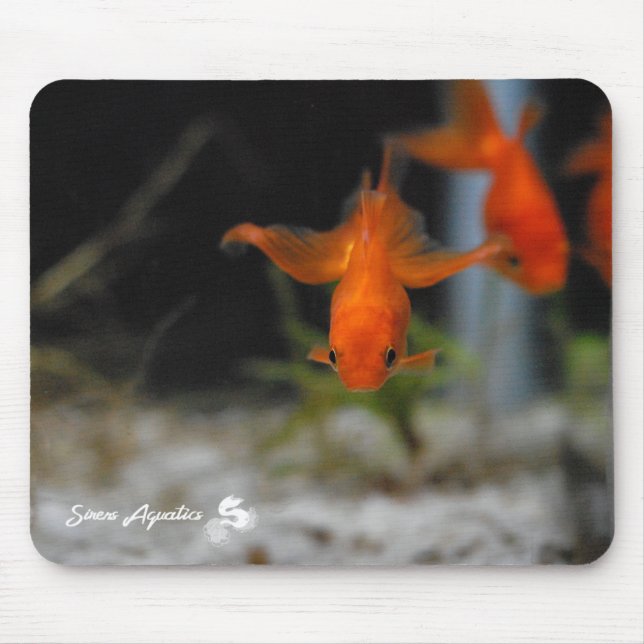 Lotus Fantail Orange Goldfish Mousepad (Front)