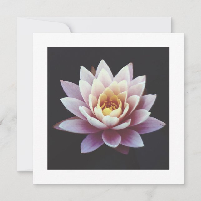 LOTUS FLAT CARD (Front)