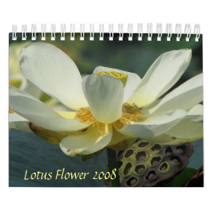 Lotus Flower 2008 Calendar