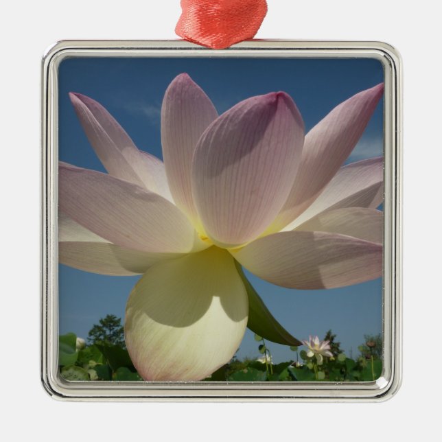 Lotus Flower and Blue Sky II Metal Ornament (Front)