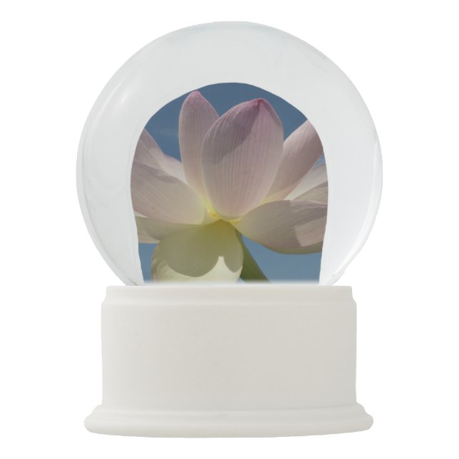 Lotus Flower and Blue Sky II Snow Globe (Front)