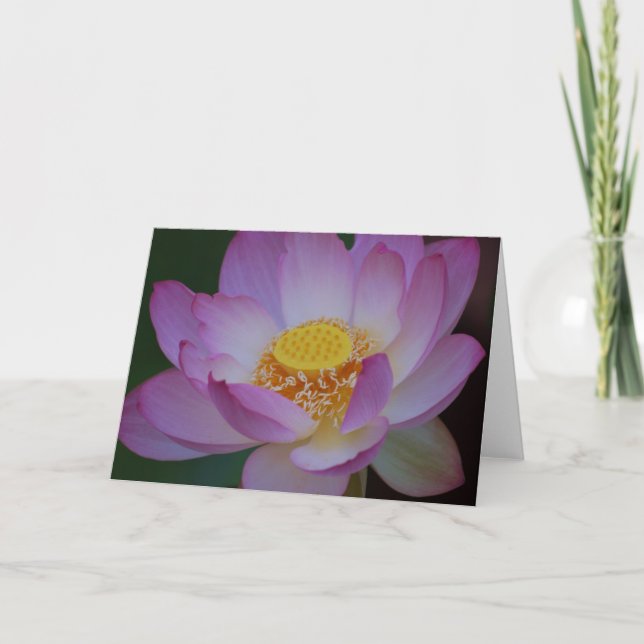 Lotus flower and its meaning holiday card (Front)