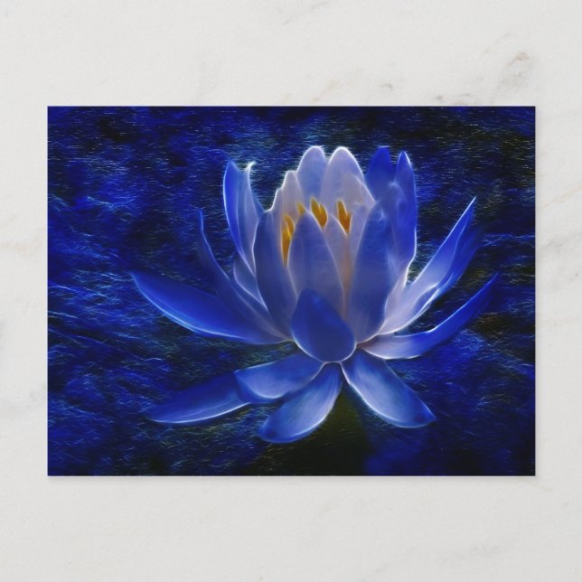 Lotus flower and its meaning postcard (Front)