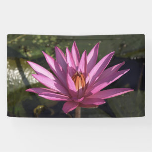 Lotus Flower Banner