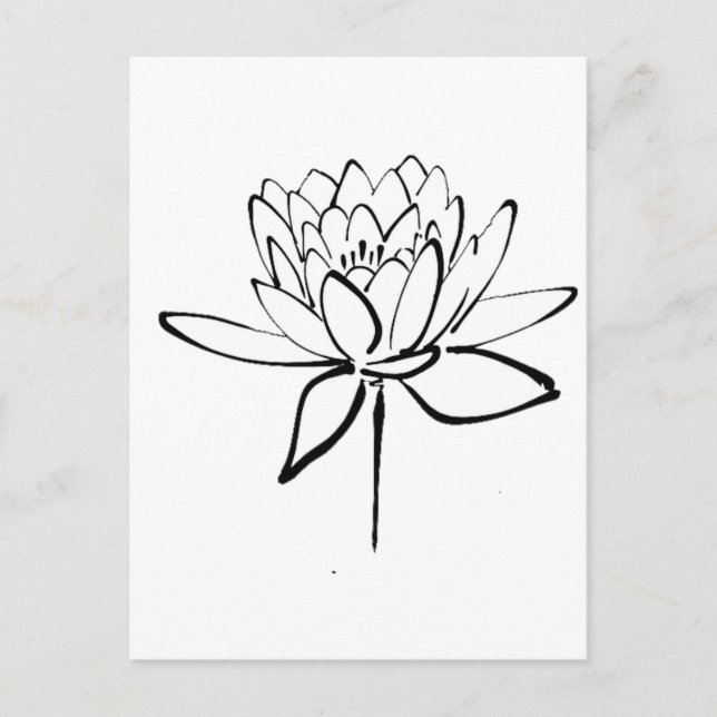 Lotus Flower Black and White Ink Drawing Art Postcard (Front)