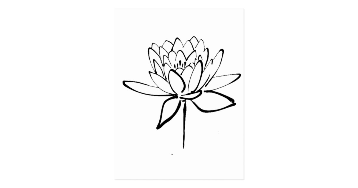 Lotus Flower Black and White Ink Drawing Art Postcard | Zazzle.com.au