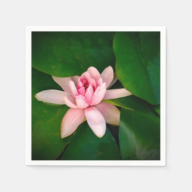 Lotus Flower Blossom  Photo Green foliage Napkin (Front)