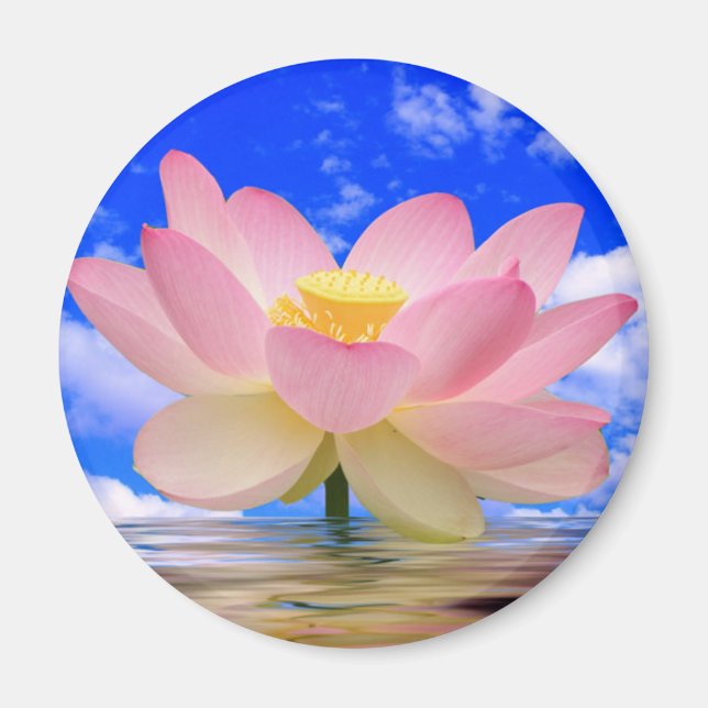 Lotus Flower Born in Water Magnet (Front)