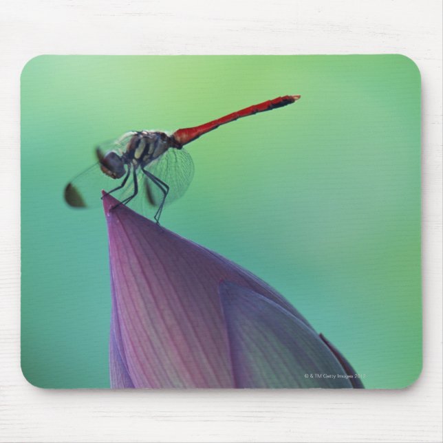 Lotus flower bud and a dragonfly mouse pad (Front)