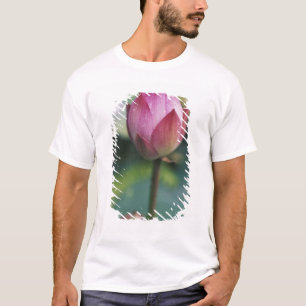 Lotus flower bud, Hangzhou, Zhejiang Province, T-Shirt