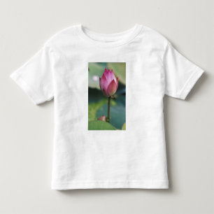 Lotus flower bud, Hangzhou, Zhejiang Province, Toddler T-Shirt