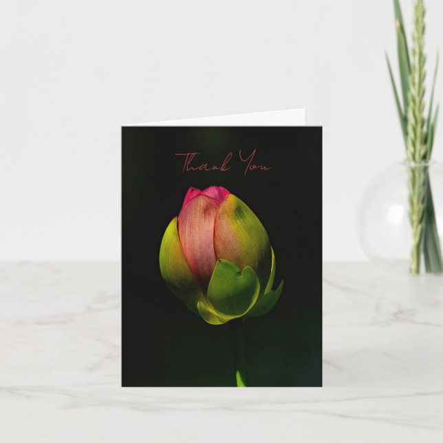 Lotus Flower Bud  Thank You Card (Front)