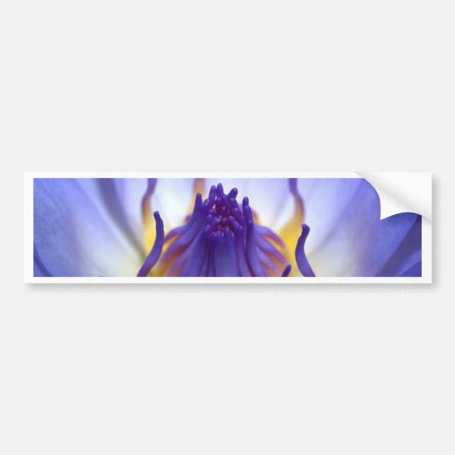 lotus  flower bumper sticker (Front)