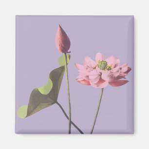 Lotus flower by Ogawa Kazumasa Magnet