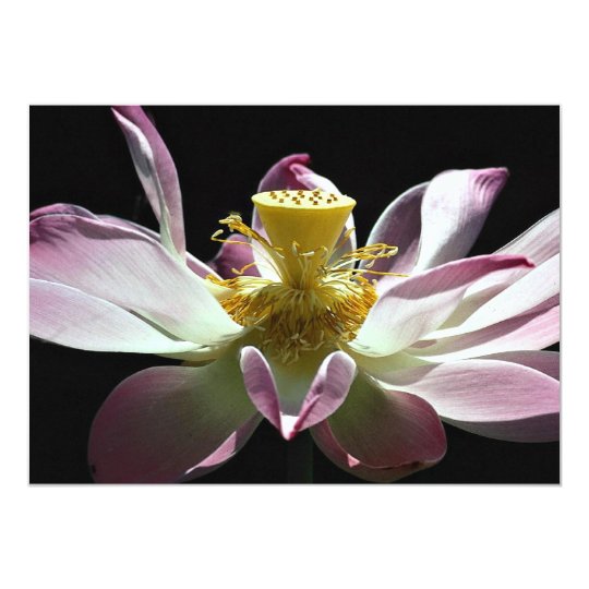Lotus flower card