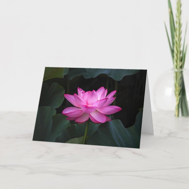 Lotus Flower Card (Front)