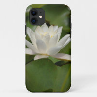 Lotus Flower