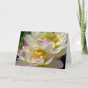 Lotus Flower Duet Card