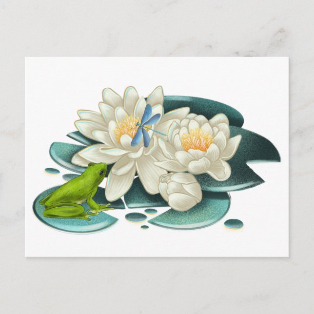 Lotus Flower, Frog and Dragonfly Postcard (Front)