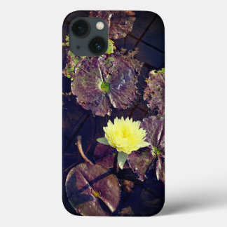 lotus flower in autumn iPhone / iPad case