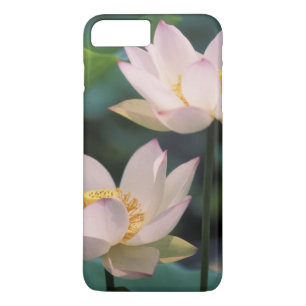 Lotus flower in blossom, China iPhone 8 Plus/7 Plus Case